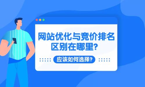 網(wǎng)站優(yōu)化與競價排名的區(qū)別及選擇策略